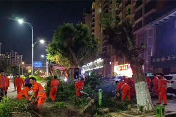 IM体育·(中国)官方网站 - APP下载